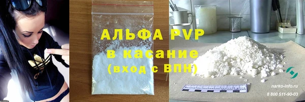 амф Алексин