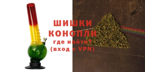 PSILOCYBIN Алзамай