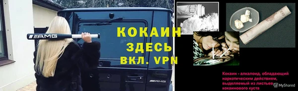 ПСИЛОЦИБИНОВЫЕ ГРИБЫ Алексеевка