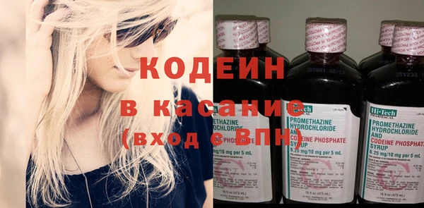 PSILOCYBIN Алзамай