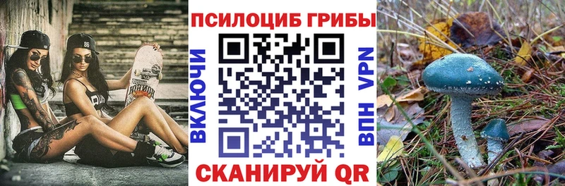 нарко площадка телеграм  Десногорск  Псилоцибиновые грибы GOLDEN TEACHER 